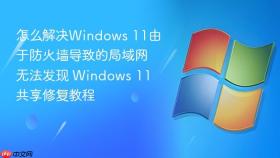 怎么解决windows 11由于防火墙导致的局域网无法发现 windows 11共享修复教程
