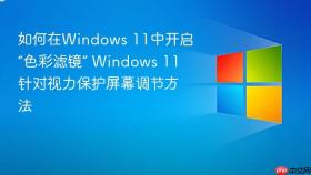 如何在windows 11中开启“色彩滤镜” windows 11针对视力保护屏幕调节方法