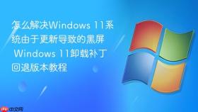 怎么解决Windows 11系统由于更新导致的黑屏 Windows 11卸载补丁回退版本教程