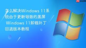 怎么解决windows 11系统由于更新导致的黑屏 windows 11卸载补丁回退版本教程