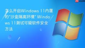 怎么开启windows 11内置的“沙盒隔离环境” windows 11测试可疑软件安全方法