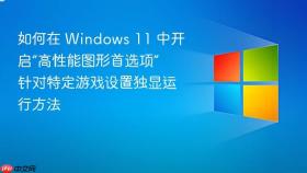 如何在 windows 11 中开启“高性能图形首选项” 针对特定游戏设置独显运行方法