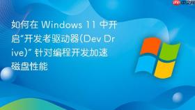 如何在 Windows 11 中开启“开发者驱动器(Dev Drive)” 针对编程开发加速磁盘性能