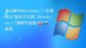 怎么解决windows 11安装提示“版本不匹配” windows 11强制升级版本对应教程