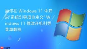 如何在 windows 11 中开启“系统引导项自定义” windows 11 修改开机引导菜单教程
