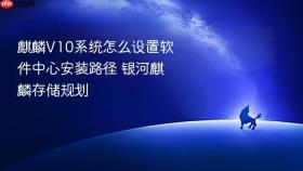 麒麟v10系统怎么设置软件中心安装路径 银河麒麟存储规划