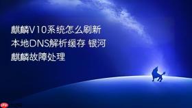 麒麟v10系统怎么刷新本地dns解析缓存 银河麒麟故障处理