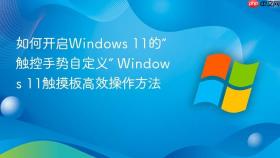 如何开启windows 11的“触控手势自定义” windows 11触摸板高效操作方法