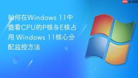 如何在windows 11中查看cpu的p核与e核占用 windows 11核心分配监控方法