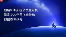 麒麟v10系统怎么查看机器是龙芯还是飞腾架构 麒麟查询指令