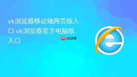 vk浏览器移动端网页版入口 vk浏览器官方电脑版入口