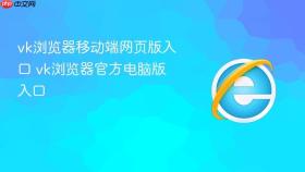 vk浏览器移动端网页版入口 vk浏览器官方电脑版入口