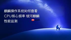 麒麟操作系统如何查看CPU核心频率 银河麒麟性能监测