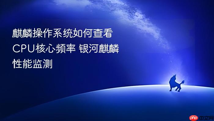 麒麟操作系统如何查看cpu核心频率 银河麒麟性能监测
