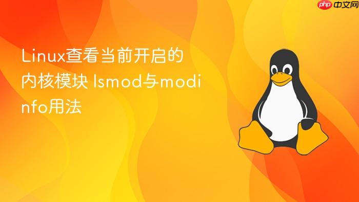 linux查看当前开启的内核模块 lsmod与modinfo用法