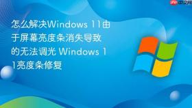 怎么解决windows 11由于屏幕亮度条消失导致的无法调光 windows 11亮度条修复