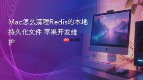 mac怎么清理redis的本地持久化文件 苹果开发维护