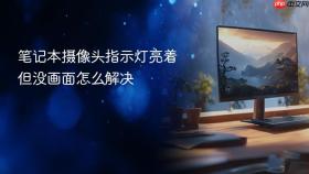 笔记本摄像头指示灯亮着但没画面怎么解决