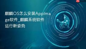麒麟OS怎么安装AppImage软件_麒麟系统软件运行新姿势