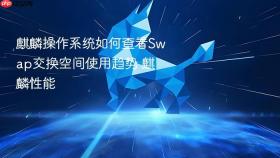 麒麟操作系统如何查看Swap交换空间使用趋势 麒麟性能