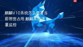麒麟V10系统怎么查看当前带宽占用 麒麟系统流量监控