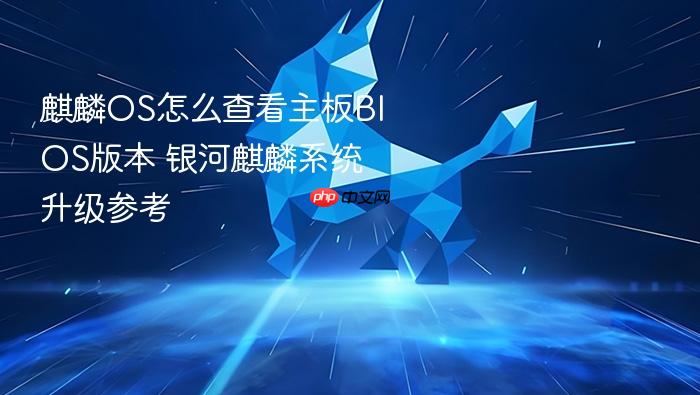 麒麟os怎么查看主板bios版本 银河麒麟系统升级参考