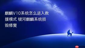 麒麟V10系统怎么进入救援模式 银河麒麟系统损毁修复