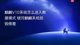 麒麟v10系统怎么进入救援模式 银河麒麟系统损毁修复