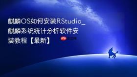 麒麟os如何安装rstudio_麒麟系统统计分析软件安装教程【最新】