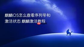 麒麟os怎么查看序列号和激活状态 麒麟激活教程