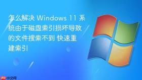 怎么解决 windows 11 系统由于磁盘索引损坏导致的文件搜索不到 快速重建索引
