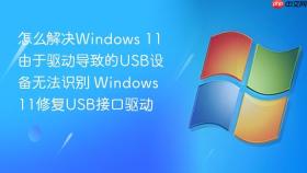 怎么解决windows 11由于驱动导致的usb设备无法识别 windows 11修复usb接口驱动