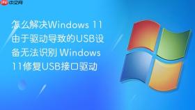 怎么解决Windows 11由于驱动导致的USB设备无法识别 Windows 11修复USB接口驱动