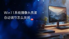 win11系统摄像头亮度自动调节怎么关闭