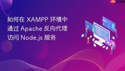 如何在 XAMPP 环境中通过 Apache 反向代理访问 Node.js 服务