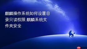 麒麟操作系统如何设置目录只读权限 麒麟系统文件夹安全