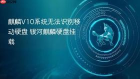 麒麟v10系统无法识别移动硬盘 银河麒麟硬盘挂载