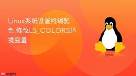Linux系统设置终端配色 修改LS_COLORS环境变量