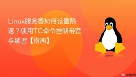 Linux服务器如何设置限速？使用TC命令控制带宽与延迟【指南】