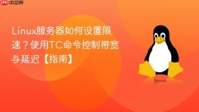 linux服务器如何设置限速?使用tc命令控制带宽与延迟【指南】