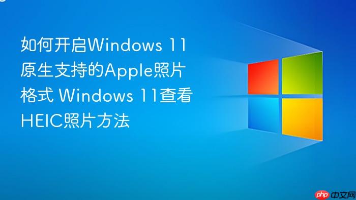 如何开启windows 11原生支持的apple照片格式 windows 11查看heic照片方法