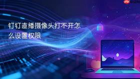 钉钉直播摄像头打不开怎么设置权限