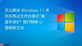 怎么解决 windows 11 系统在移动文件时提示“磁盘写保护” 强行解除 u 盘限制方法