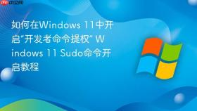 如何在windows 11中开启“开发者命令提权” windows 11 sudo命令开启教程