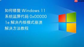 如何修复 windows 11 系统蓝屏代码 0x000001e 解决内核模式崩溃解决方法教程