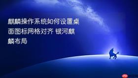 麒麟操作系统如何设置桌面图标网格对齐 银河麒麟布局