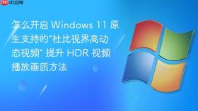 怎么开启 Windows 11 原生支持的“杜比视界高动态视频” 提升 HDR 视频播放画质方法