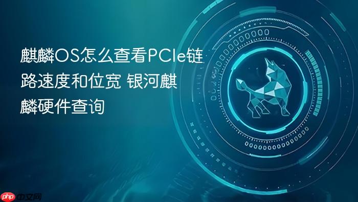 麒麟os怎么查看pcie链路速度和位宽 银河麒麟硬件查询