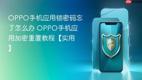 OPPO手机应用锁密码忘了怎么办 OPPO手机应用加密重置教程【实用】