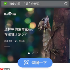 百度识图在线搜图入口 百度识图官网入口网页版